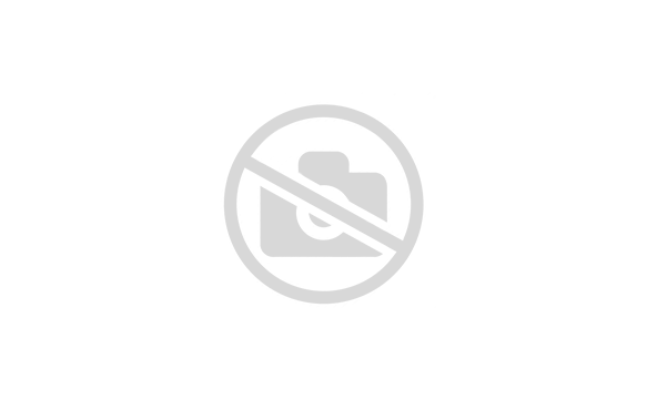 Бензопилы (MS)